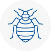 Bed Bug Extermination In Calne