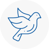 Bird Prevention Calne