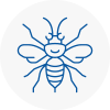 Calne Hornet Nest Removals