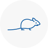 Mice Exterminators In Calne