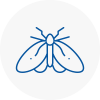 Moth Control Specialists In Calne