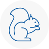 Calne Rodent Removals